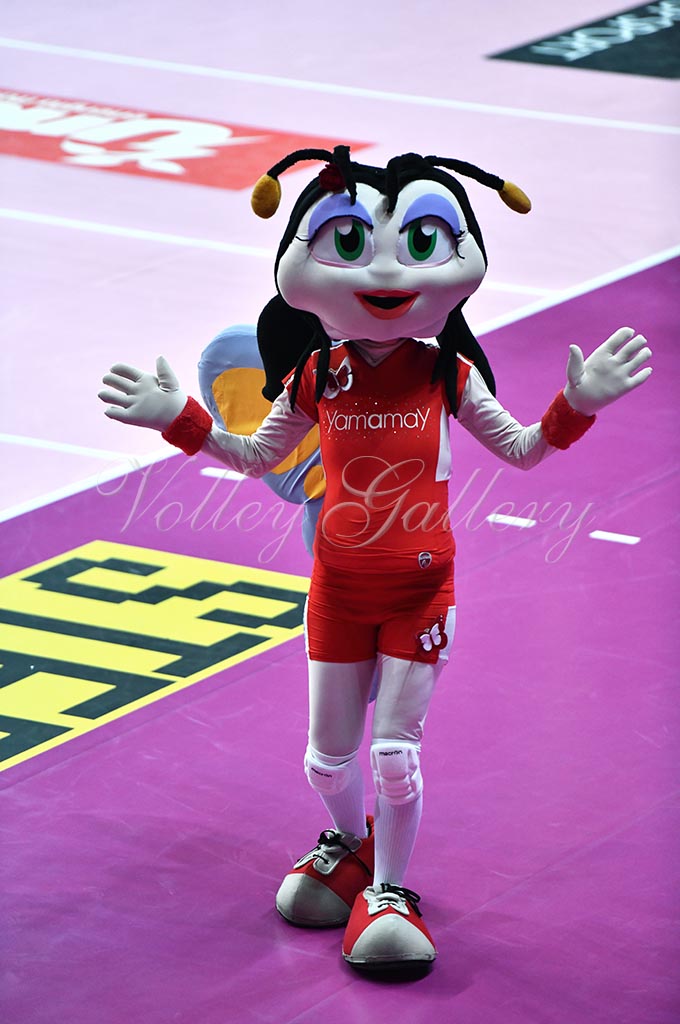 Unet E-Work Busto Arsizio-Igor NO (24)